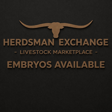 Jammin Tex x Shamrock Tari's Temptress